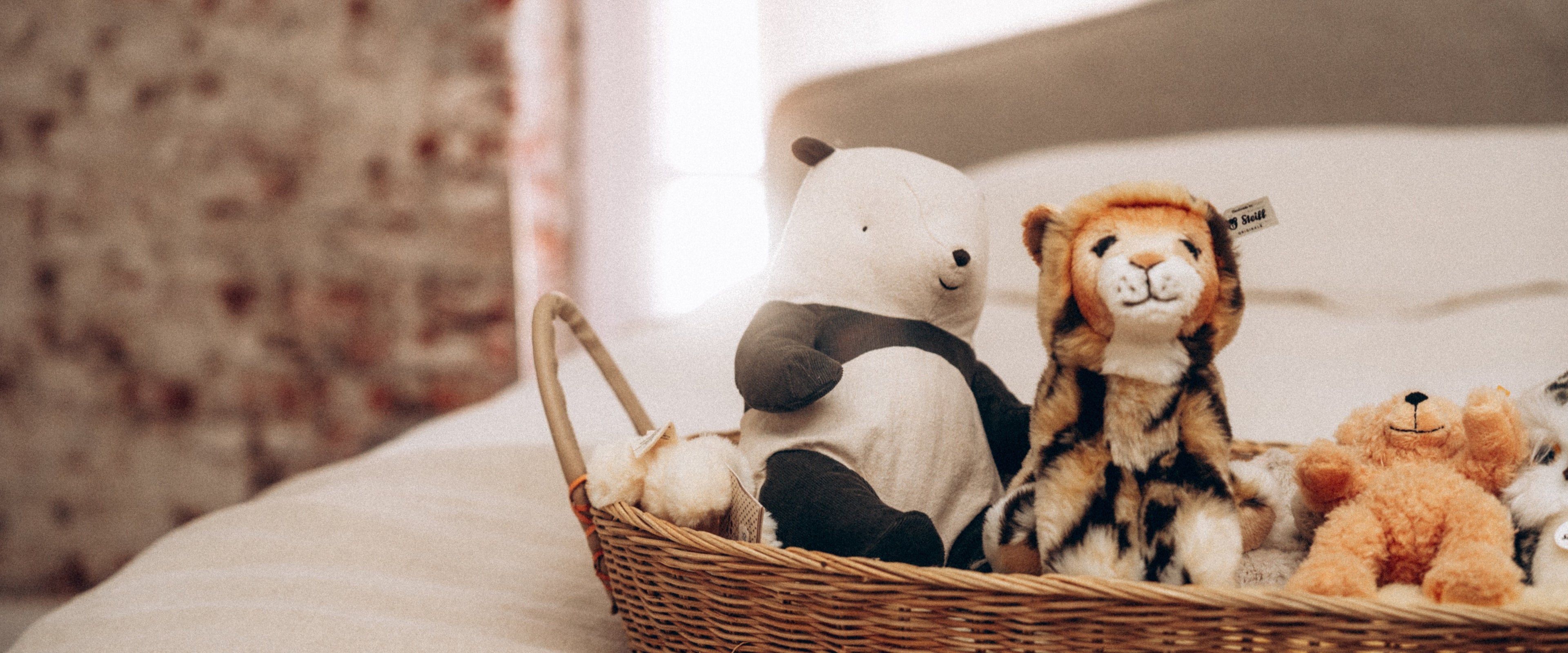 Baby Toys