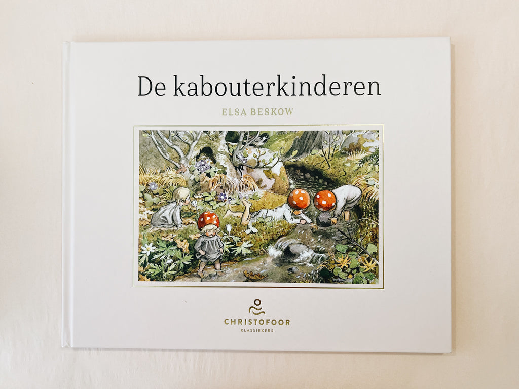Boek De Kabouterkinderen