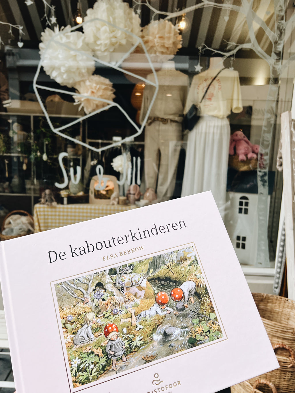 Boek De Kabouterkinderen