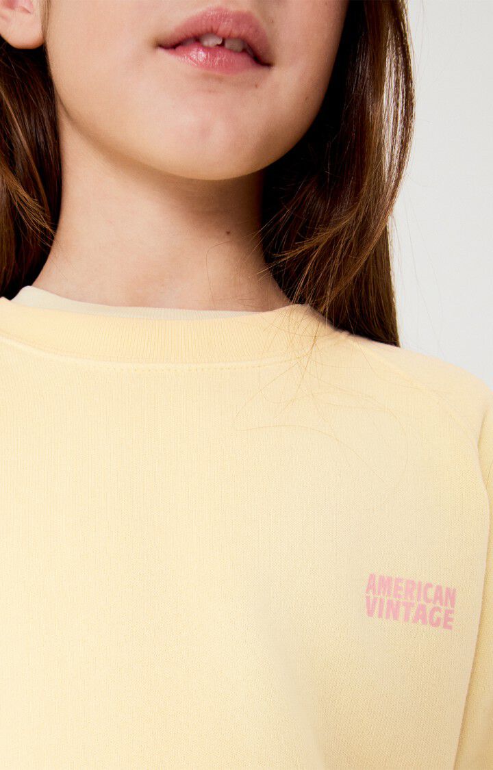 American Vintage sweater Izubird