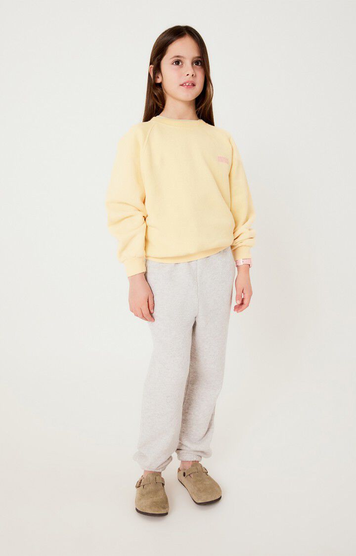 American Vintage sweater Izubird