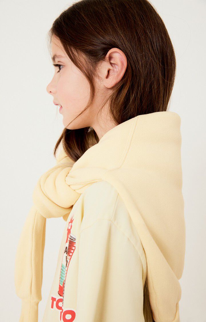 American Vintage sweater Izubird